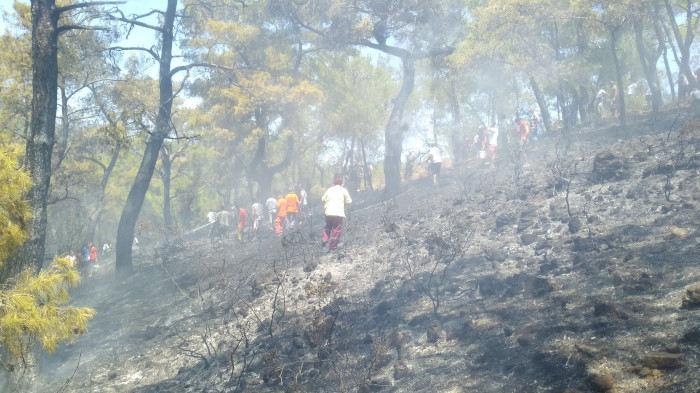 Kemer'de çıkan orman yangınları itfaiye ve vatandaşların işbirliği ile kontrol altına alındı   
