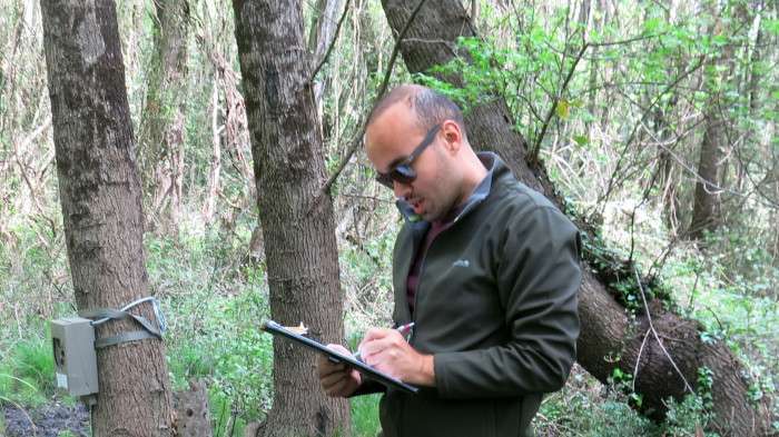 'Yanan yerlere kızılçam yerine ceviz, zeytin dikme önerisi büyük hata'