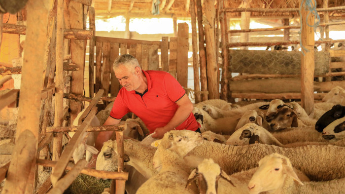 Alevlerden 300 koyunla 30 kilometrelik kaçış