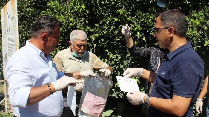 Akdeniz meyve sineğine karşı biyoteknik mücadele   