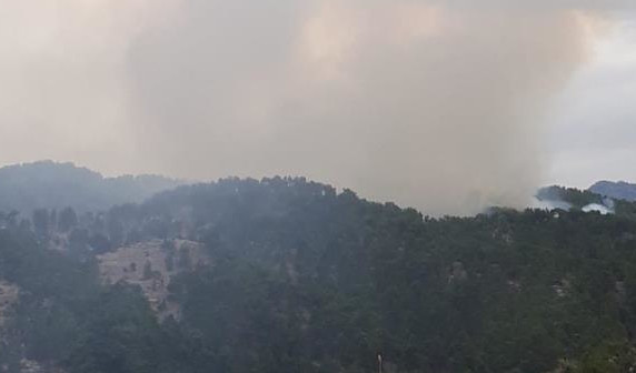 Manavgat'ta aynı bölgede ikinci yangın