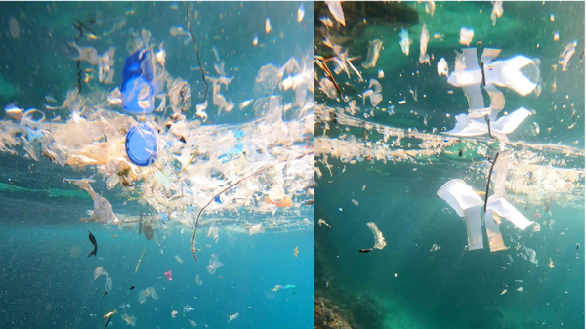 Akdeniz&rsquo;de mikroplastik alarmı: Su altında kirlilik daha yoğun