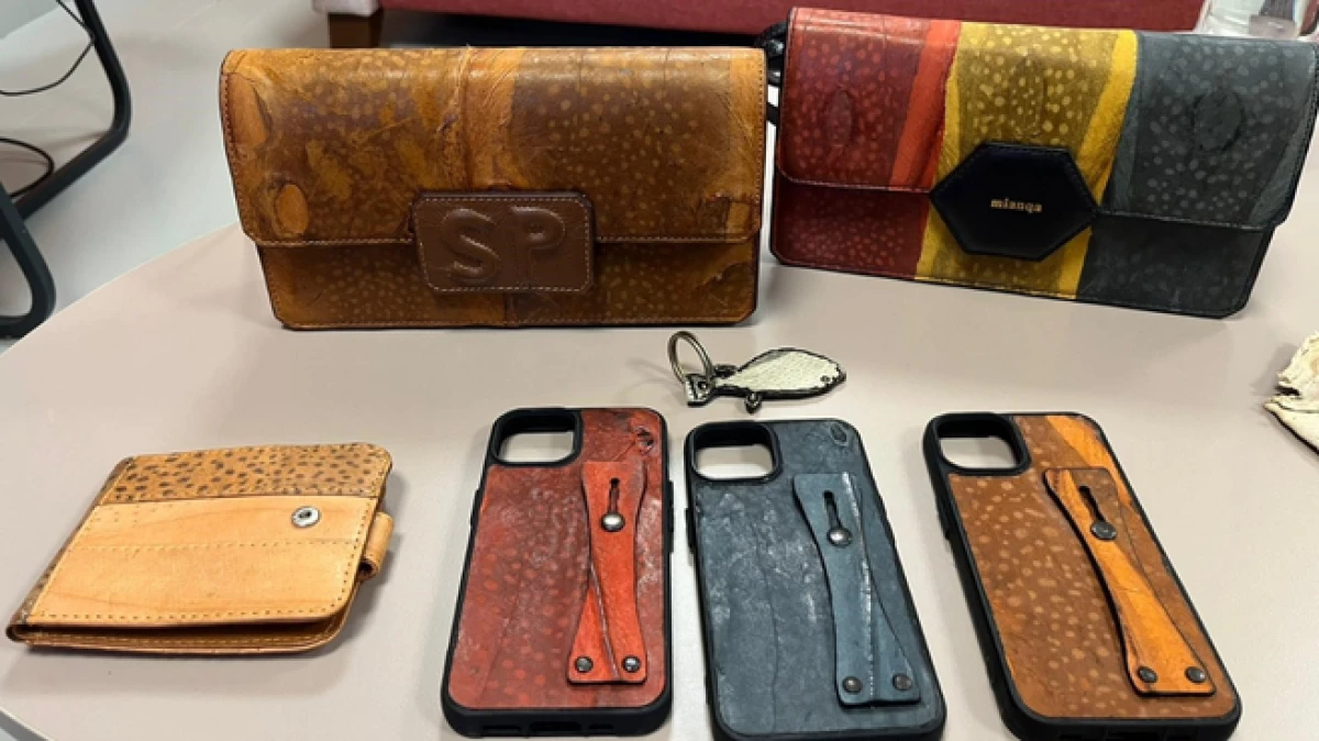 Alanya&rsquo;da Balon balığı projesi mahkemelik oldu 