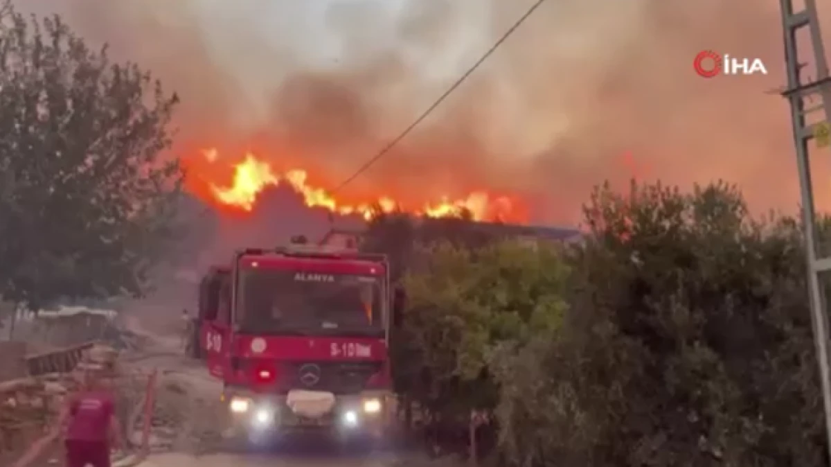 Alanya’da gece başlayan orman yangınına müdahale devam ediyor   