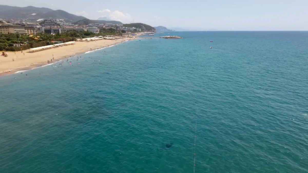 Alanya&rsquo;da kıyıya yaklaşan yunus tatilcilerin yakınında y&uuml;zd&uuml;