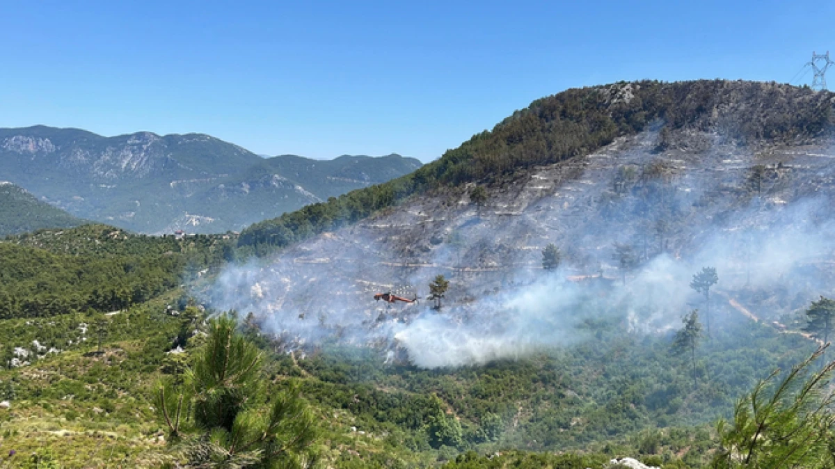 Alanya'da yangın! Havadan ve karadan müdahale devam ediyor