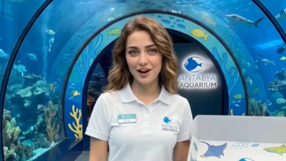 Antalya Akvaryum y&ouml;netiminden dijital dolandırıcılara su&ccedil; duyurusu