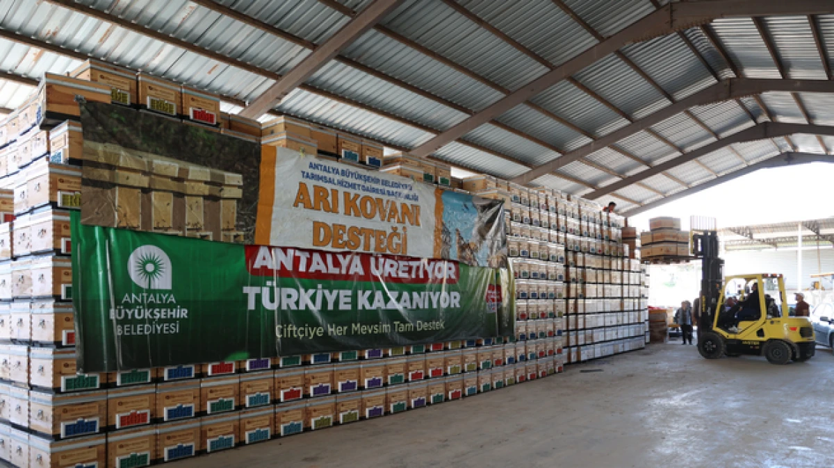 Antalya B&uuml;y&uuml;kşehir&rsquo;den &uuml;reticiye arı kovanı desteği 