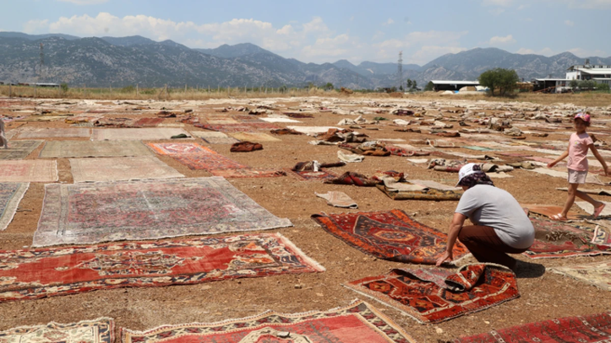 Antalya g&uuml;neşinde soldurulan tarihi halılar, ABD ve Avrupa'da duvarları s&uuml;sl&uuml;yor