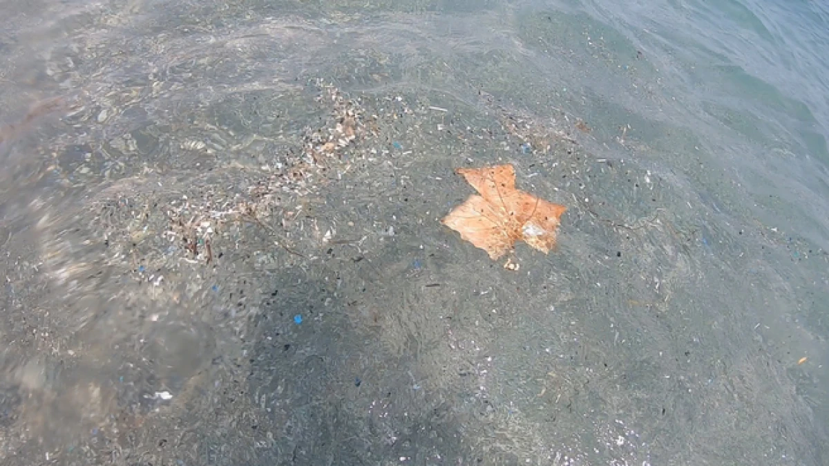 Antalya kıyılarında mikroplastik alarmı; canlıların &ouml;l&uuml;m&uuml;ne sebep olabiliyor 