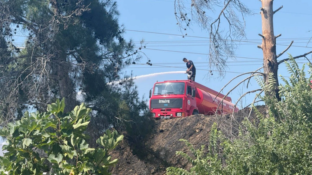 Antalya'da 2 orman yangını