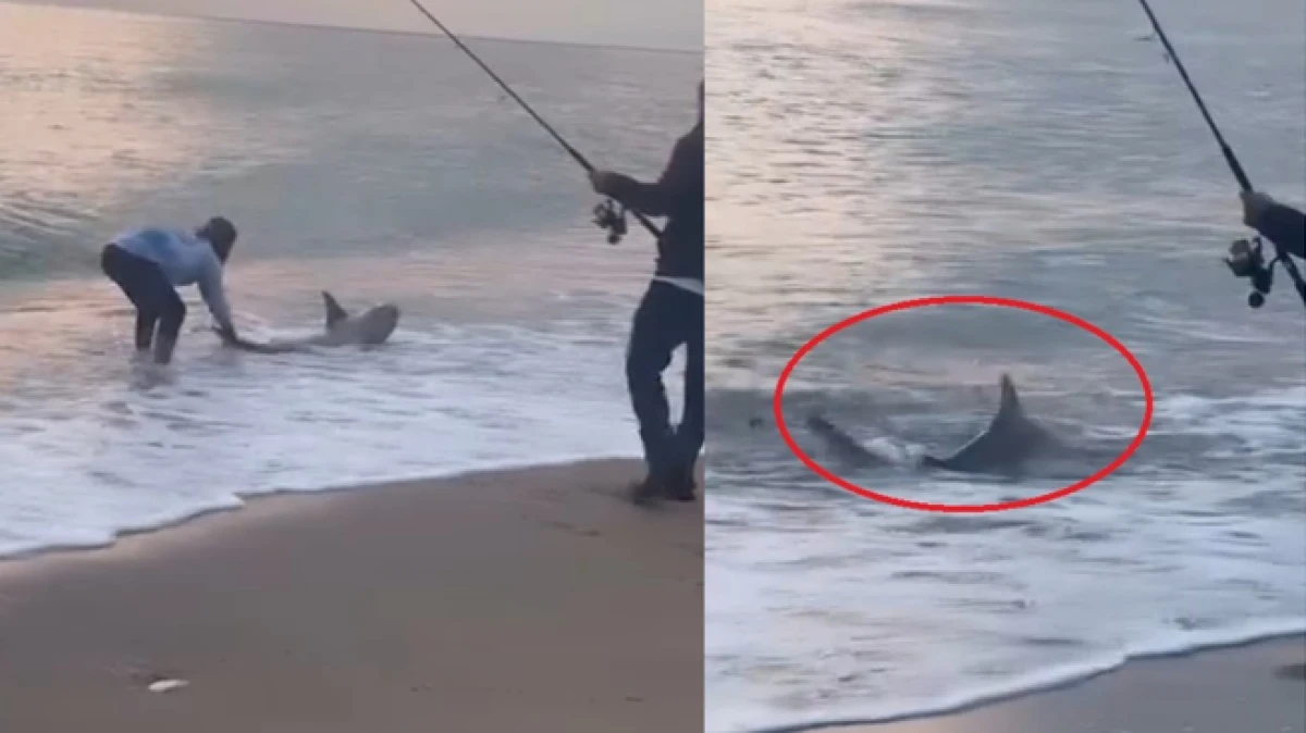 Antalya’da amatör kıyı balıkçısının oltasına köpek balığı takıldı 