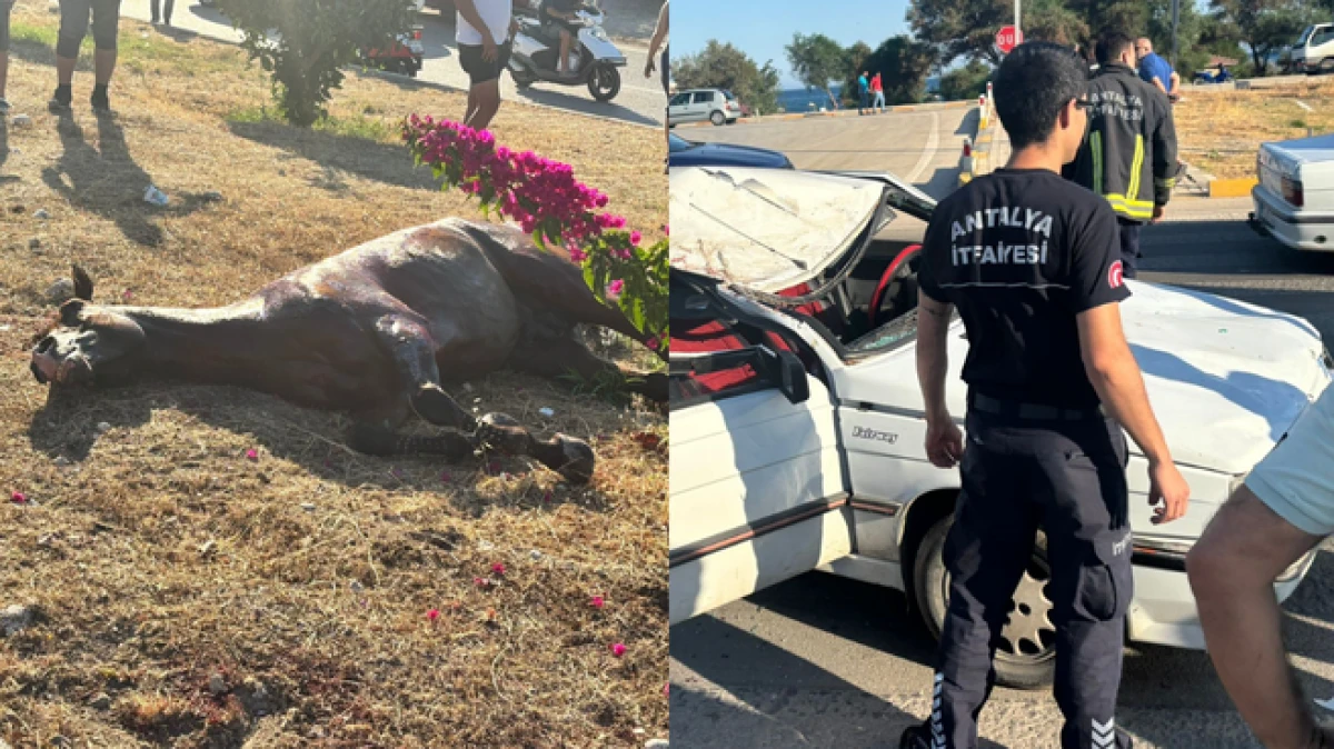 Antalya’da başıboş gezen at kazaya neden oldu: 3 kişi yaralandı 