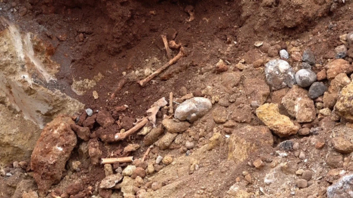 Antalya'da belediye kazısında kemik par&ccedil;aları bulundu   