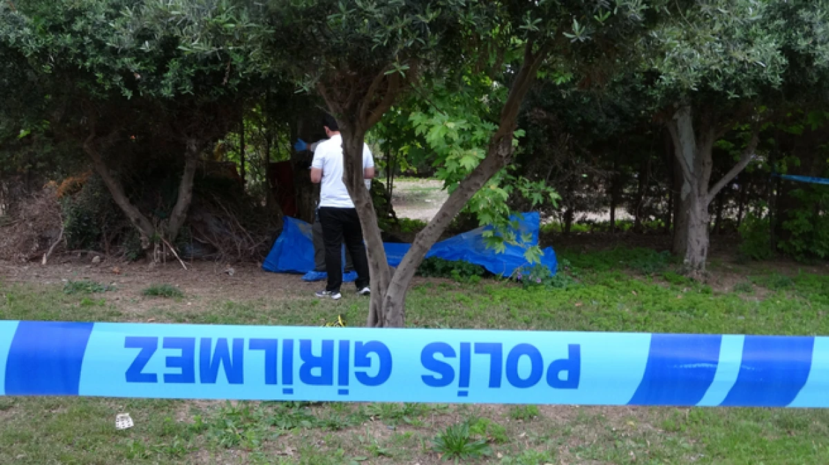 Antalya'da bir kişi ağa&ccedil;lık alanda &ouml;l&uuml; bulundu   