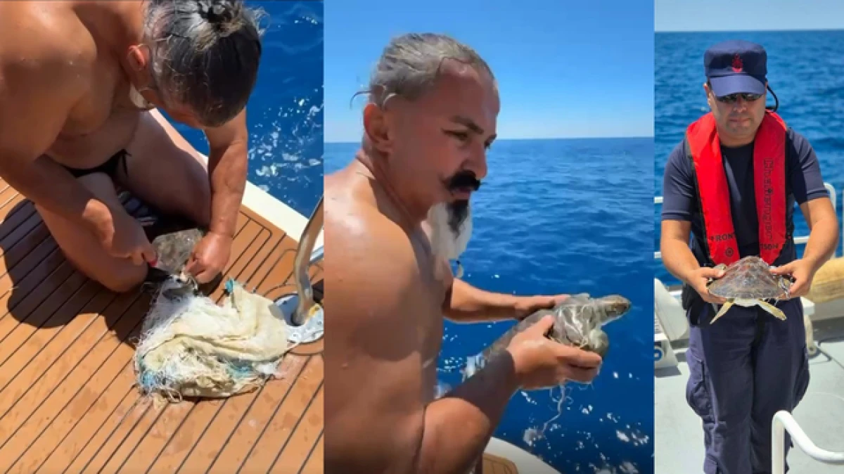 Antalya&rsquo;da &ccedil;uvala dolanan deniz kaplumbağası kurtarıldı