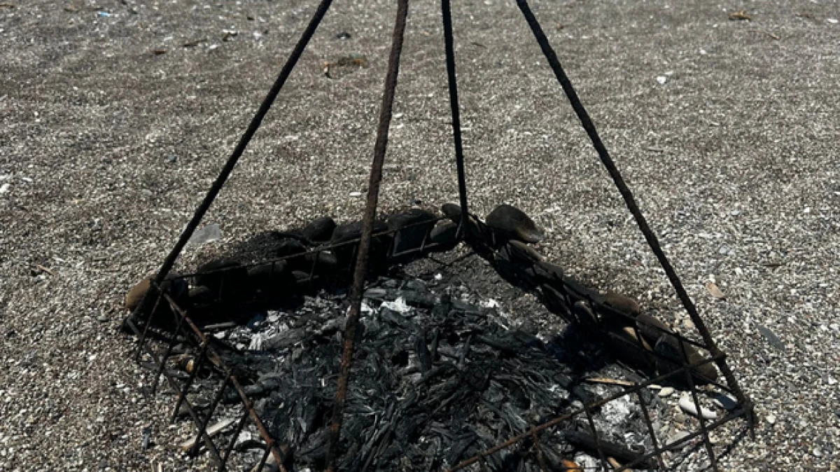 Antalya&rsquo;da deniz kaplumbağası koruma demirinin ortasında ateş yaktılar; inceleme başlatıldı