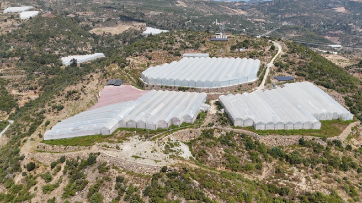 Antalya’da engebeli arazide 20’den fazla çeşit tropikal meyve yetiştiriliyor