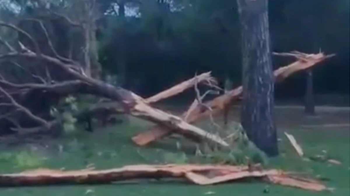 Antalya&rsquo;da golf sahasına d&uuml;şen yıldırım ağacı par&ccedil;alara ayırdı 