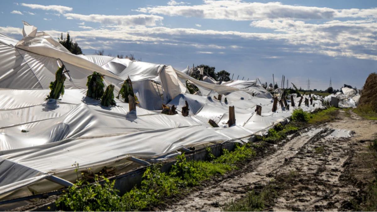 Antalya&rsquo;da hortumun neden olduğu zarar, g&uuml;n ağardığında ortaya &ccedil;ıktı
