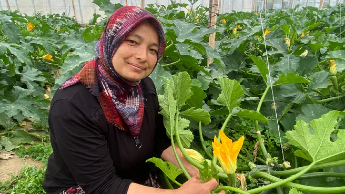 Antalya&rsquo;da kadın &ccedil;ift&ccedil;i hem &uuml;retiyor hem ihra&ccedil; ediyor 