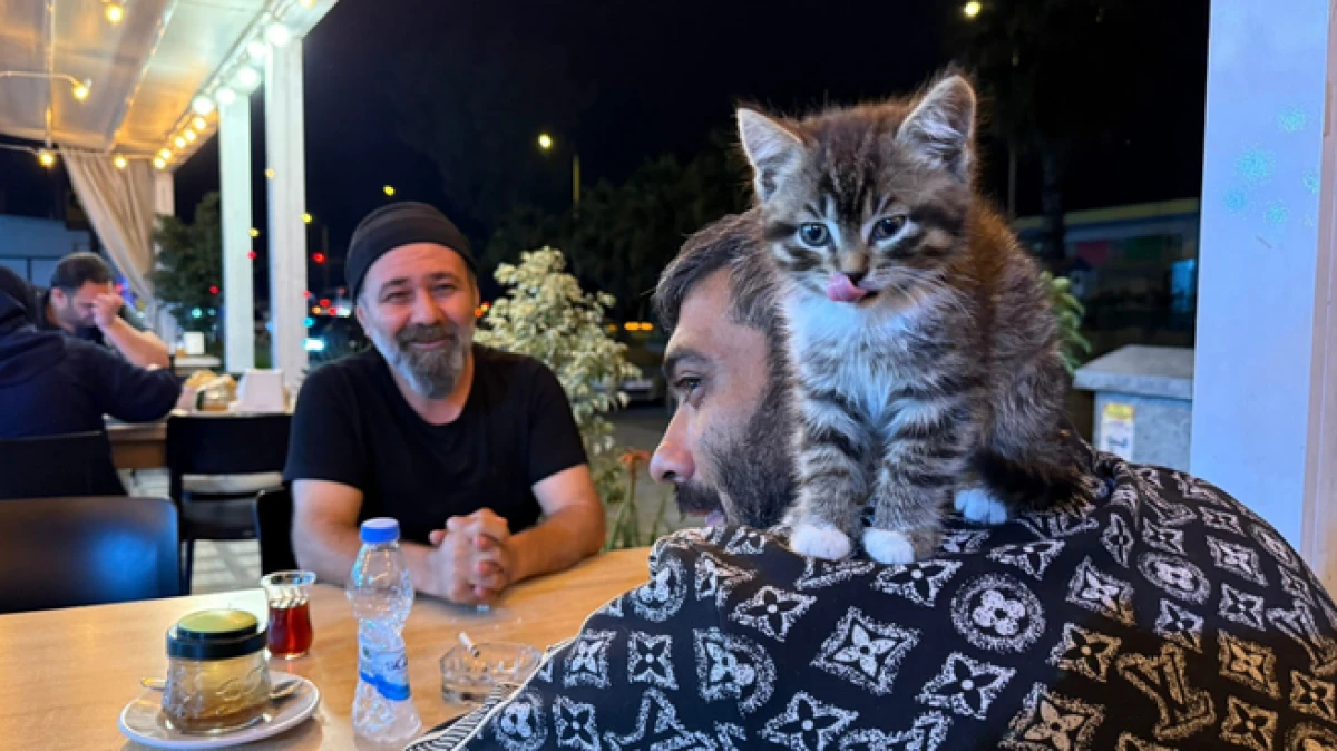 Antalya&rsquo;da madde bağımlılığından yavru kedi sayesinde kurtuldu 