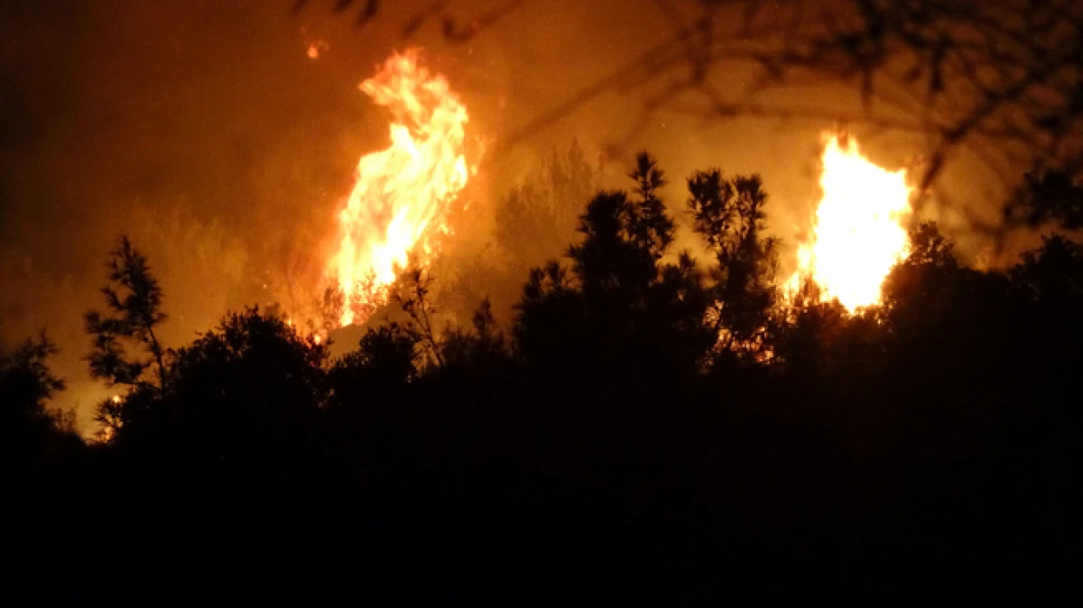 Antalya&rsquo;da orman yangını &ldquo;Yaklaşık 2 hektar alan zarar g&ouml;rd&uuml;&rdquo;
