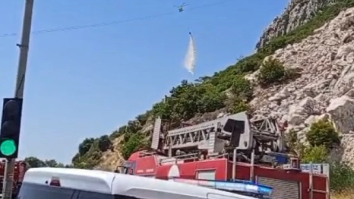 Antalya'da ormanlık alanda yangın     