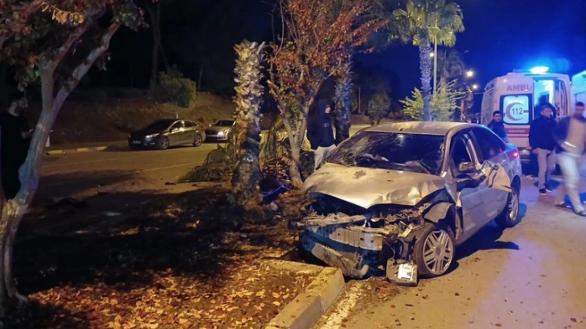 Antalya'da palmiyeye çarpan otomobilin sürücüsü yaralandı 