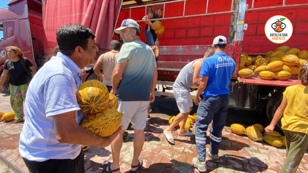 Antalya’da üreticiden halcilere tepki: 20 ton kavun bedava!