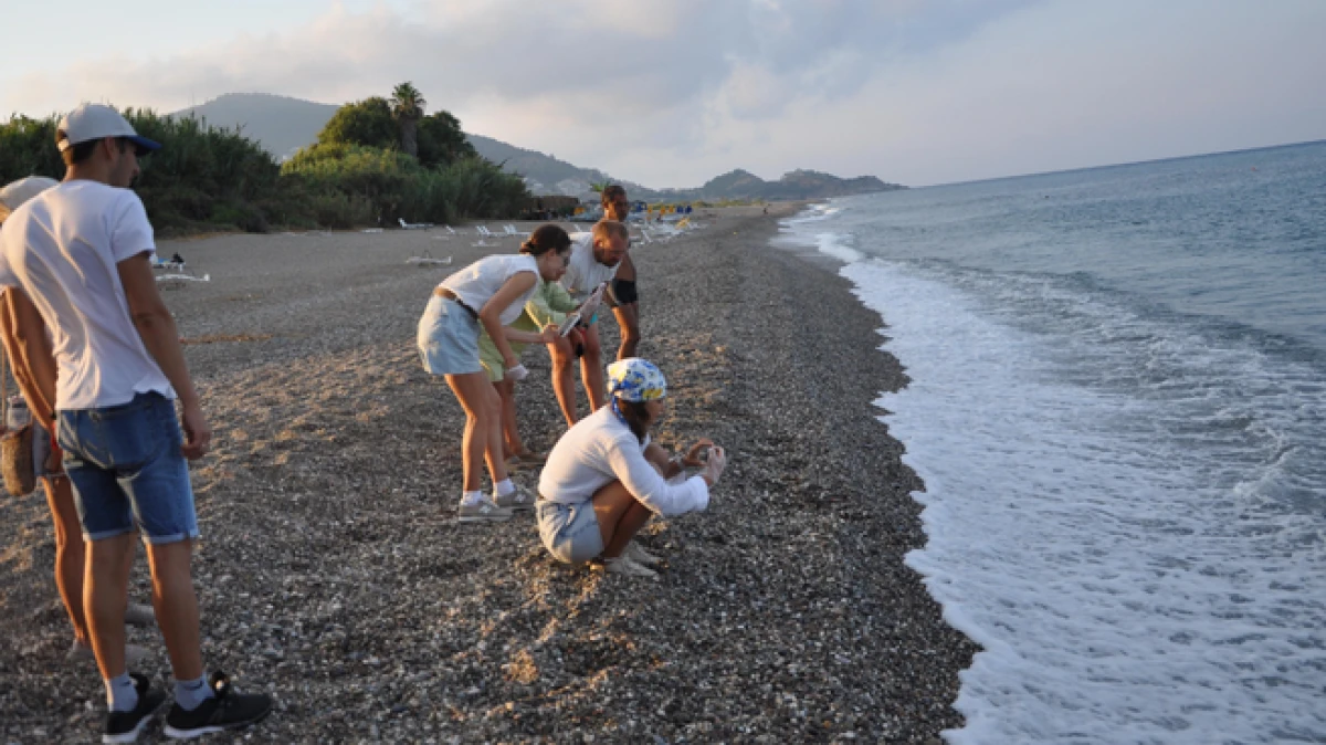 Antalya&rsquo;da yerleşik yabancılar deniz kaplumbağalarının g&ouml;n&uuml;ll&uuml; koruyucusu oldu 