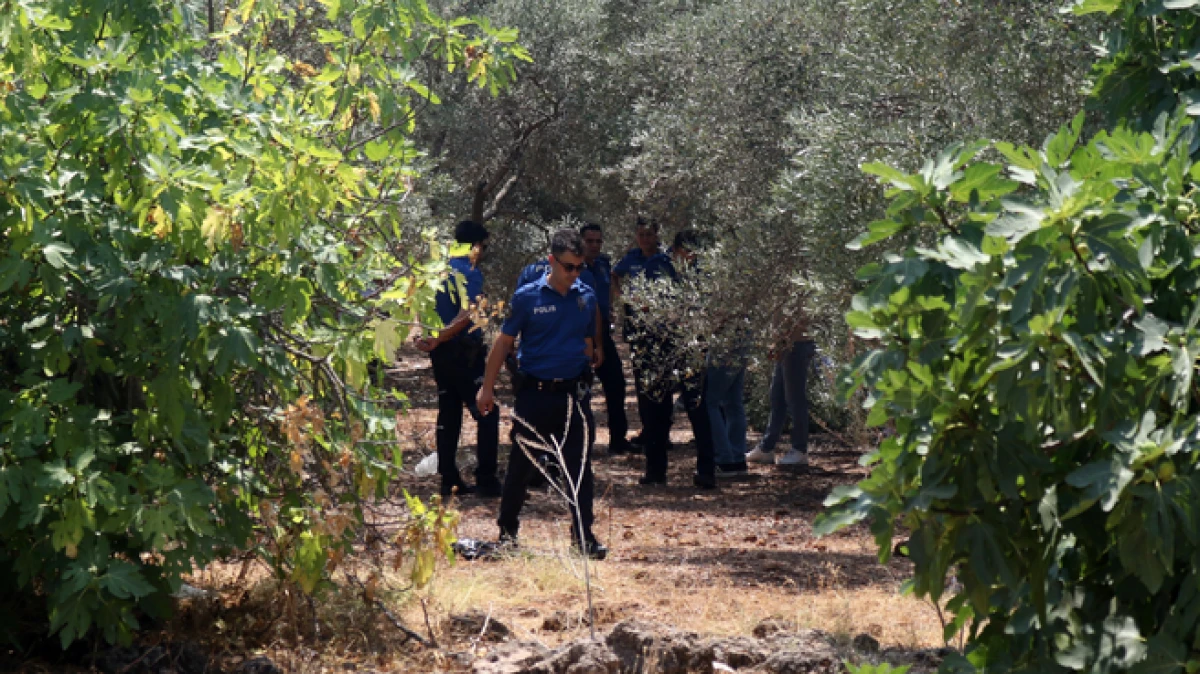 Antalya&rsquo;da zeytinlikte elleri arkadan bağlı erkek cesedi bulundu