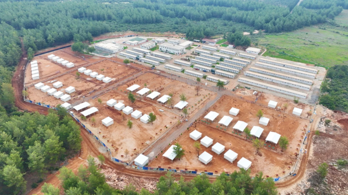 B&uuml;y&uuml;kşehir sokak k&ouml;pekleri i&ccedil;in doğal yaşam alanı kapasitesini arttırdı 