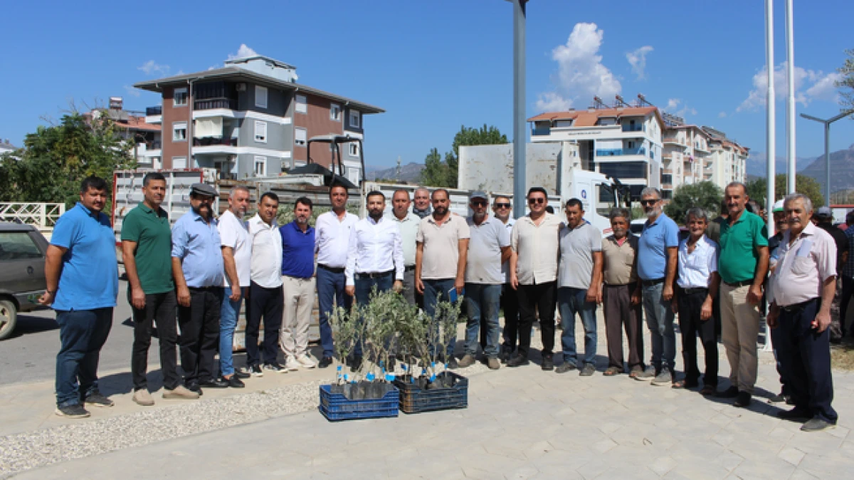 Gazipaşa'da 83 kişiye bin 660 adet fidan desteğinde bulunuldu 