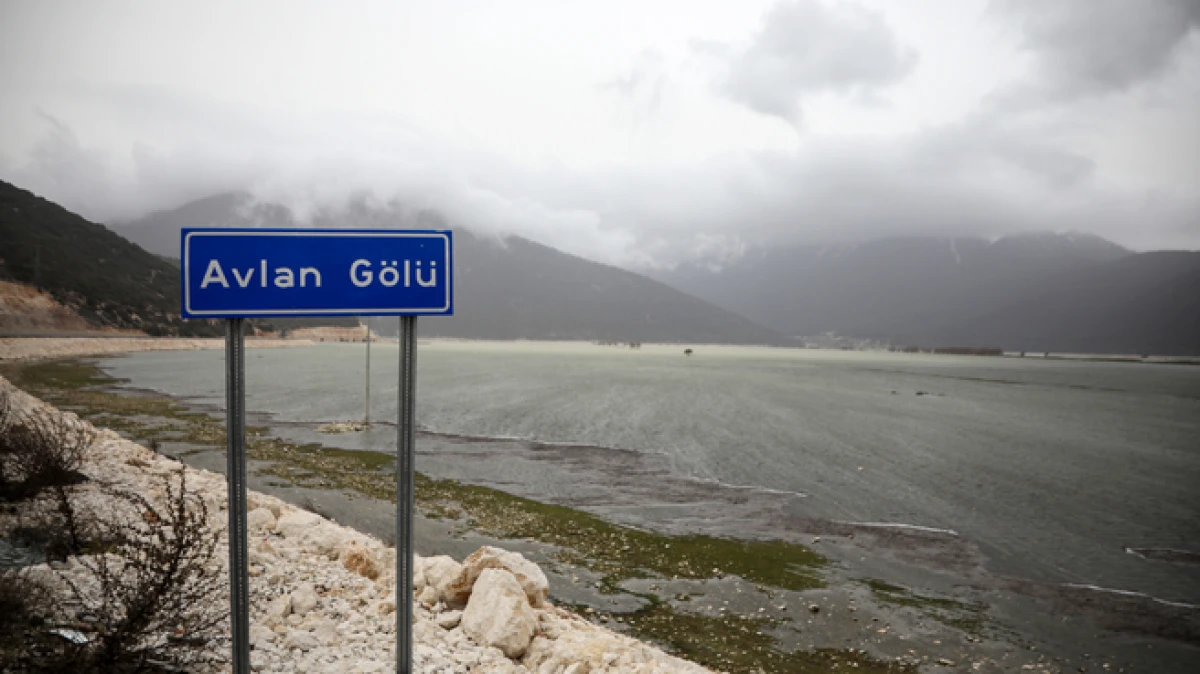 Hayvanların otladığı Avlan G&ouml;l&uuml;'nde su sevinci 