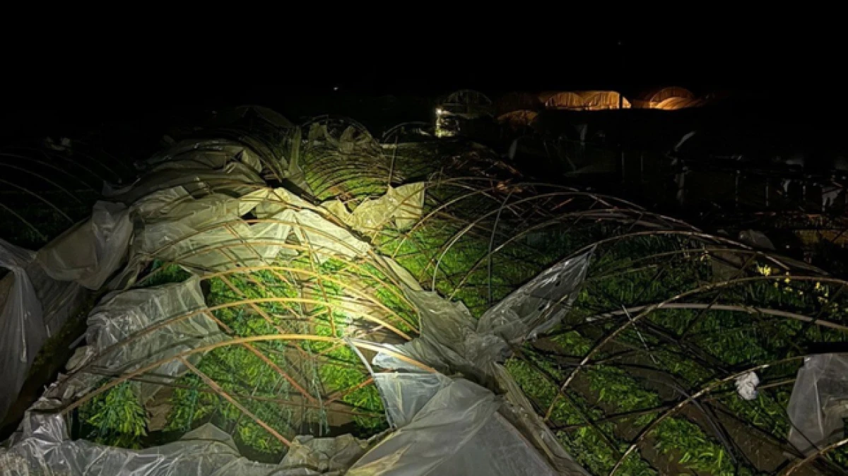 Kumluca'da yağmur ve hortum seraları vurdu 