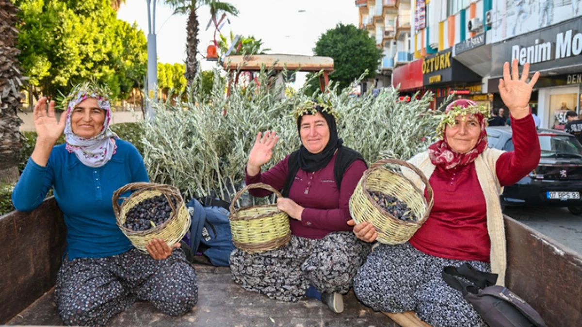 Manavgat’ta Zeytin ve Zeytinyağı Festivali’nin ikincisi başlıyor 