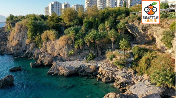 Muratpaşa Belediyesi, Bambus'u halka açmak için çalışıyor 