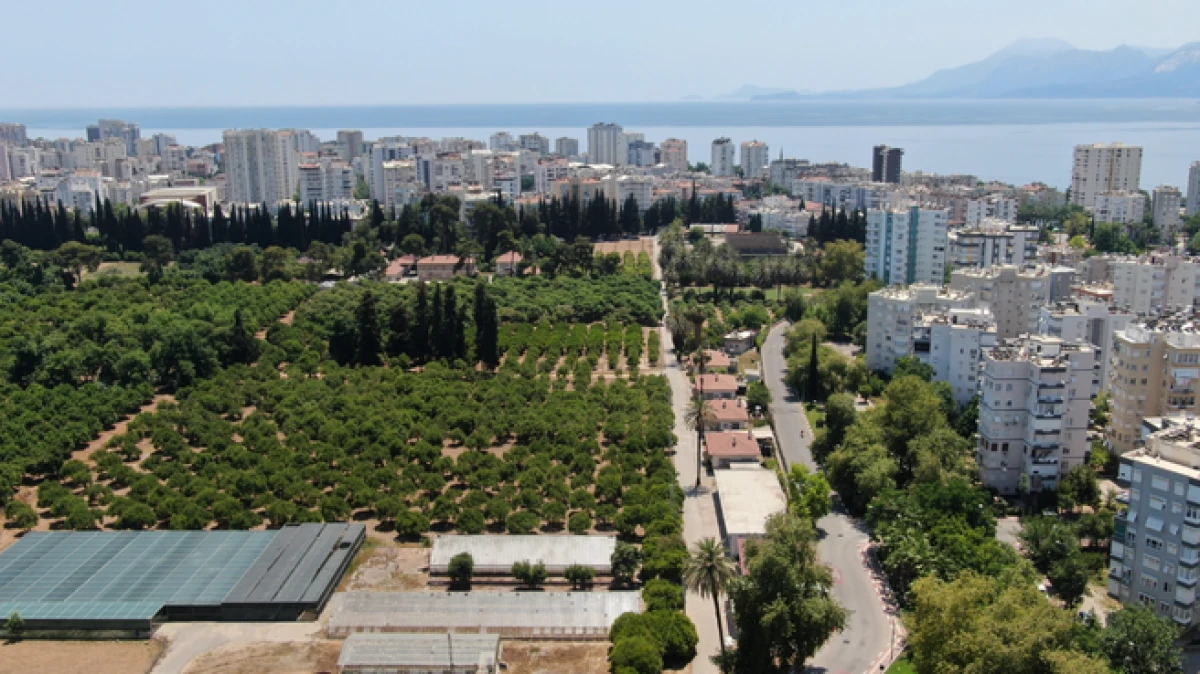 Tarımın başkenti Antalya, y&uuml;z&ouml;l&ccedil;&uuml;m&uuml;n&uuml;n y&uuml;zde 3'&uuml;n&uuml; aşkın toprağını kaybetti 