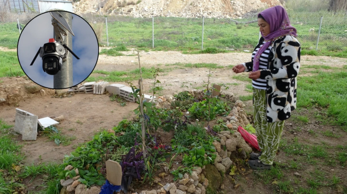 Zeytink&ouml;y&rsquo;de babasının mezarındaki &ccedil;i&ccedil;ekleri s&ouml;k&uuml;p uyuşturucu sakladılar  