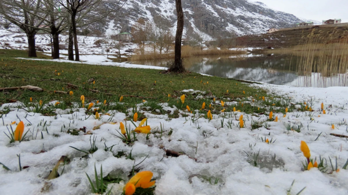Zirve yaylalarda karlar erimeye başladı, bahar &ccedil;i&ccedil;ekleri a&ccedil;tı